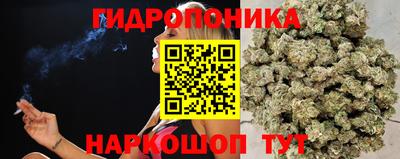 скорость Кинель