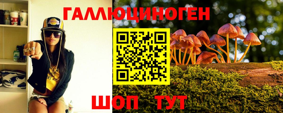 Котлас  Псилоцибиновые грибы Magic Shrooms  магазин продажи   Вход с VPN 